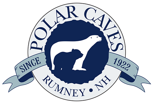 Polar Caves logo